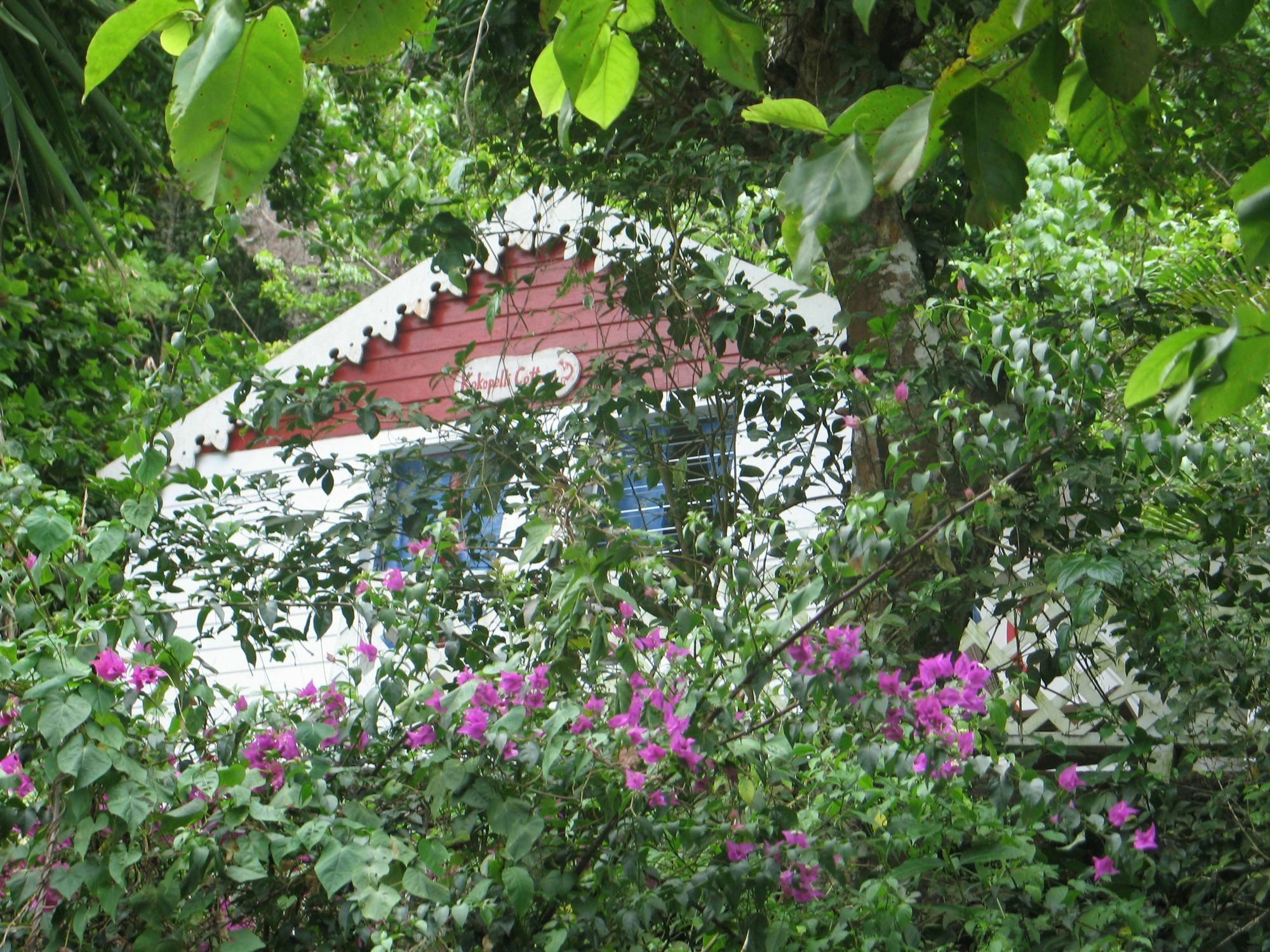 El Momo Cottages Windward Side Esterno foto